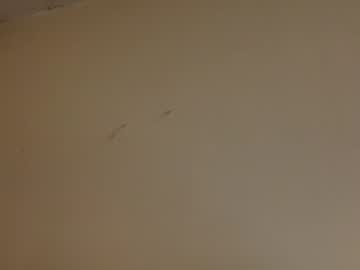 webcam girl veraalexandria capture image #5098777