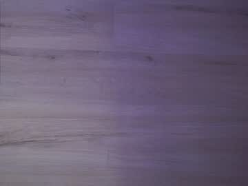 webcam girl hoolybunny capture image #2099877