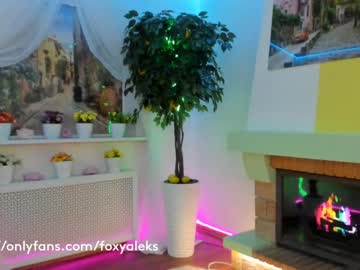 webcam girl foxy_aleks capture image #1481563