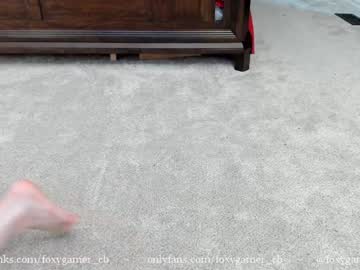 webcam girl foxy_gamer capture image #24888