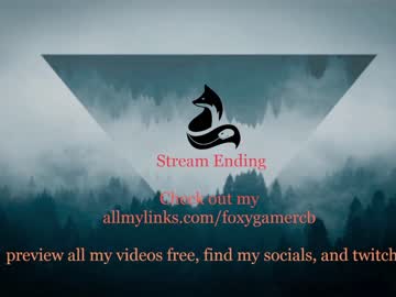 webcam girl foxy_gamer capture image #3844971