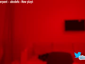 webcam girl hollyextra capture image #1073673