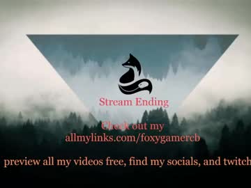 webcam girl foxy_gamer capture image #5204096