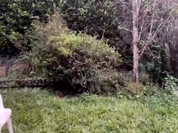 webcam man 45w capture image #367350