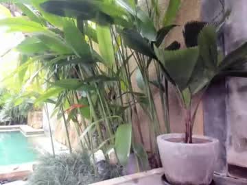 webcam girl coy_amina capture image #2074876