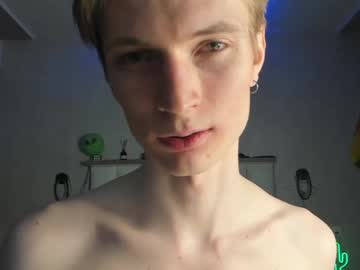 webcam man viksons capture image #5313504