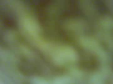 webcam couple rickyandluucy capture image #5638232