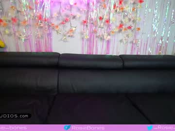 webcam girl rosiebones capture image #4372593