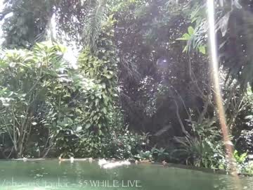 webcam girl phoenix_taylor capture image #4206557