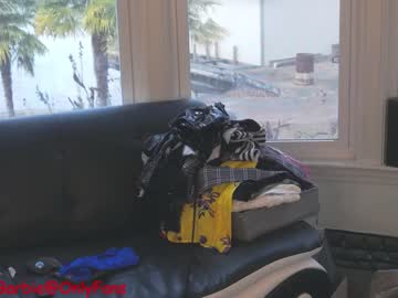 webcam girl rvlifebarbie capture image #4435264