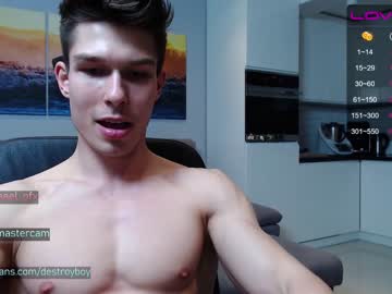 webcam man destroy_boy capture image #2509910