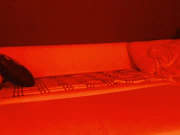webcam girl linellali capture image #4204506