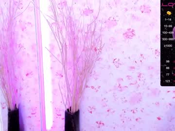 webcam girl soon_lee capture image #2592460