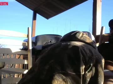 webcam man hardworkertn capture image #1945458