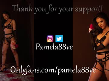 webcam girl pamela_velez capture image #5039328