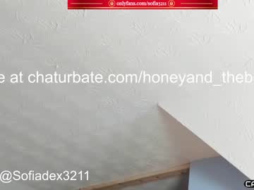 webcam couple sofia3211 capture image #447473