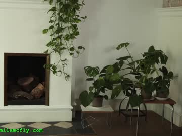 webcam girl mila_ capture image #4642934
