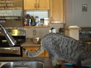 webcam girl vivid_whit capture image #4961270