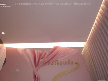 webcam girl wildtequilla capture image #3451465