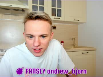 webcam man andy_bjorn capture image #3681283