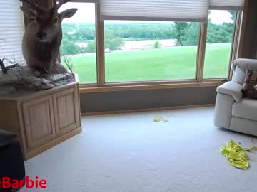 webcam girl rvlifebarbie capture image #3114841