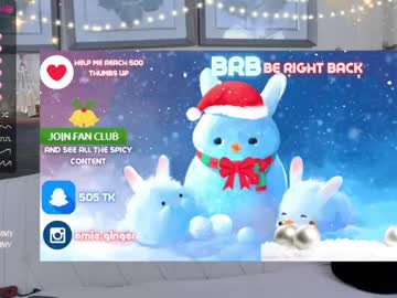 webcam girl ginger_pie capture image #1226053