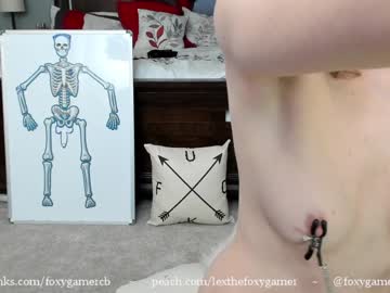 webcam girl foxy_gamer capture image #571364
