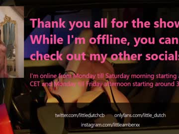 webcam girl little_dutch capture image #4401016