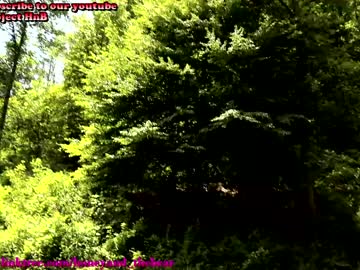 webcam couple honeyand_thebear capture image #3266641