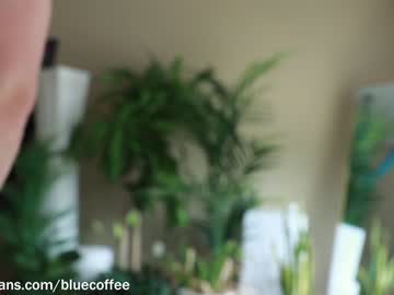 webcam man bluecoffee capture image #3296945