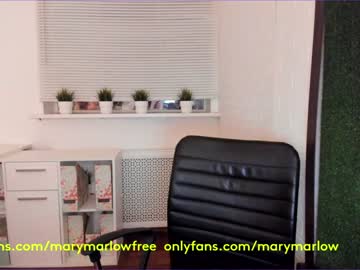 webcam girl mary_marlow capture image #2281769