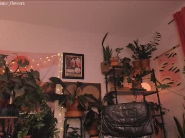 webcam girl jane_flowers capture image #940524