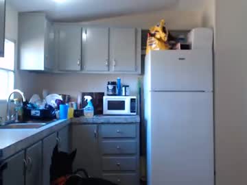 webcam girl gingerlei capture image #967664