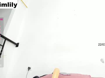 webcam girl imlily96 capture image #2077803