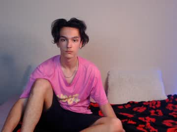 Cam for lia_stan