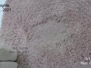 webcam girl 1k1_nights capture image #758412