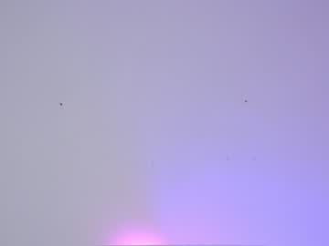 webcam girl sapphirealice capture image #1917696