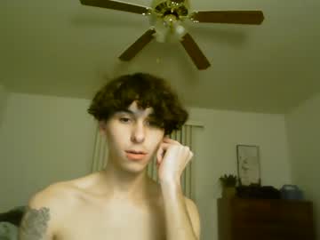 webcam couple aesus3x capture image #4542060