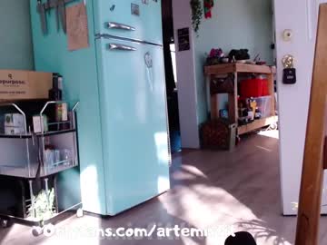 webcam girl artemisfit capture image #1448190