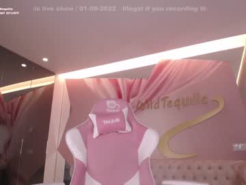 webcam girl wildtequilla capture image #3640972
