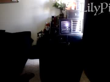 webcam girl lilypixel capture image #2215162