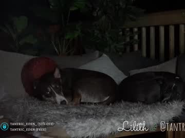 webcam girl tantric_eden_ capture image #3662995