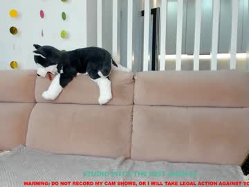 webcam girl coy_amina capture image #543019