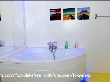 webcam girl foxy_aleks capture image #2276806