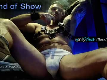 webcam man muscle_dog capture image #4237051