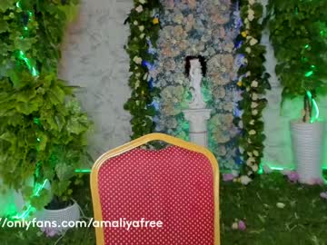 webcam girl amelia__williams capture image #1264996