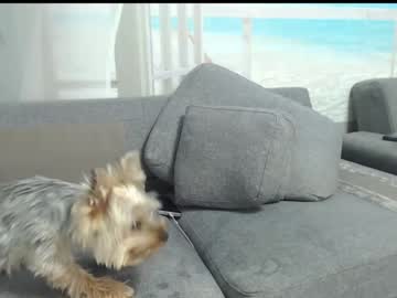 webcam girl lexy_sweet capture image #2895760