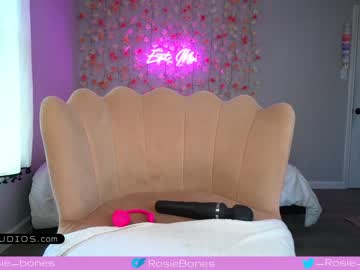 webcam girl rosiebones capture image #3488415