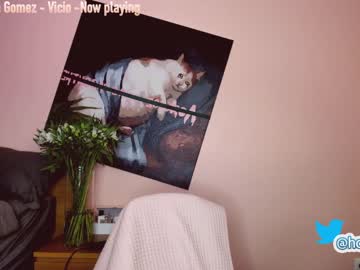 webcam girl hollyextra capture image #2959641