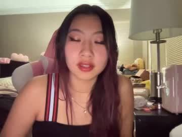 webcam girl hiddenr0se capture image #4506439